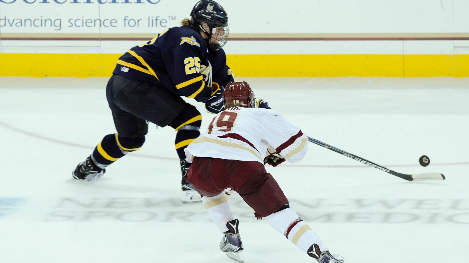 Quinnipiac defenseman Emma Greco skates against Boston College on October 21, 2016. Michela Cava and the engagement are not pictured. File photo.