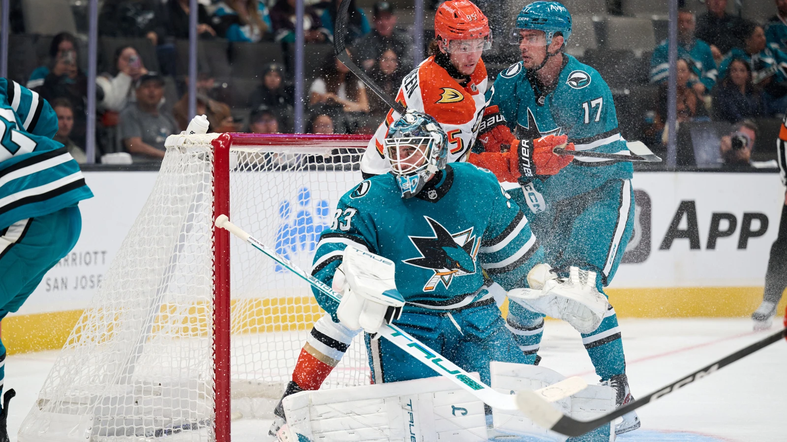 File photo: Anaheim Ducks centre Roger McQueen battles for position in front of the San Jose Sharks net.