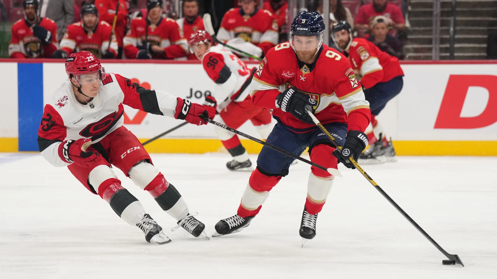 File photo: Carolina Hurricanes forward Bradly Nadeau battles for the puck against the Florida Panthers.