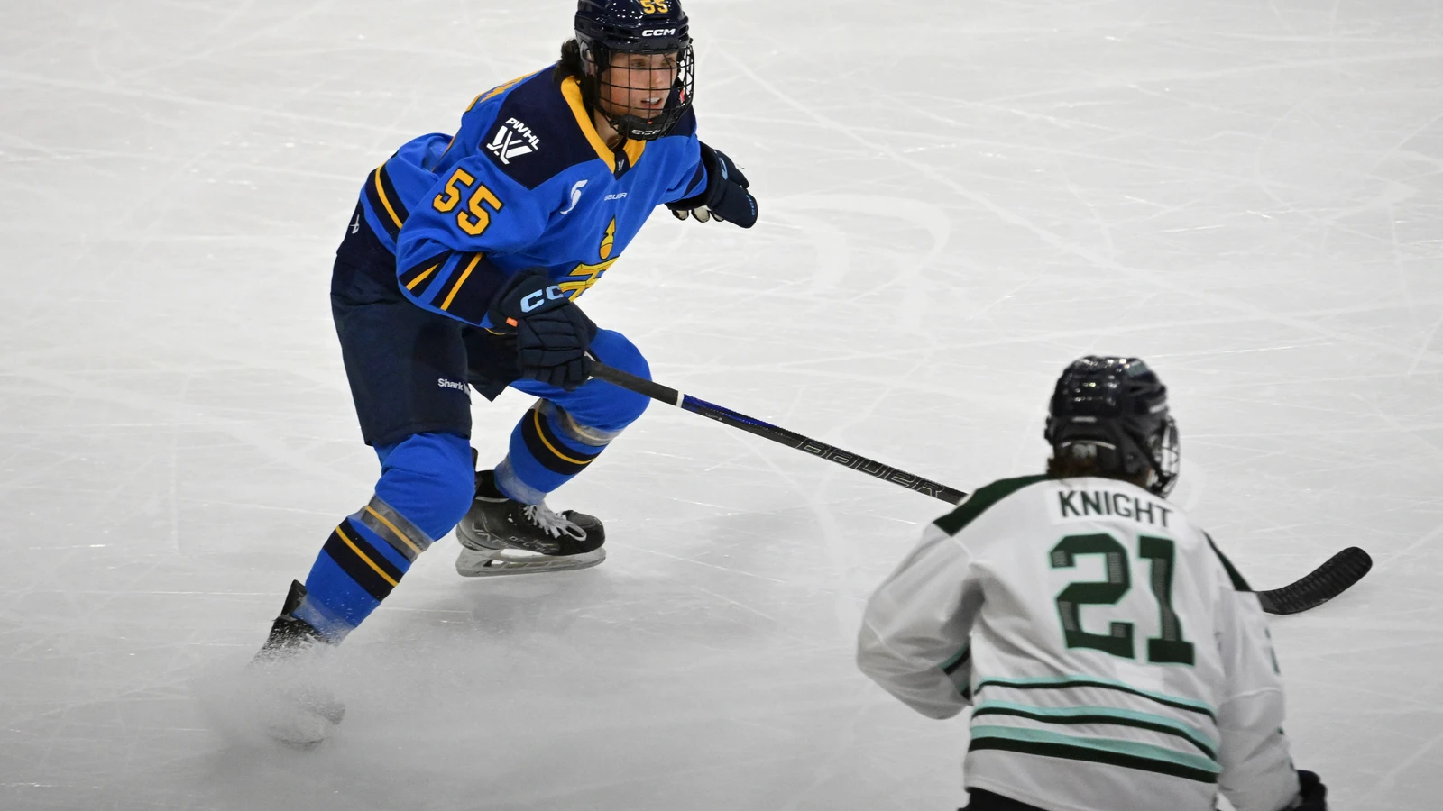 Hilary Knight of the Boston Fleet faces Toronto defender Ryland MacKinnon at Coca-Cola Coliseum on November 30, 2024. File photo.