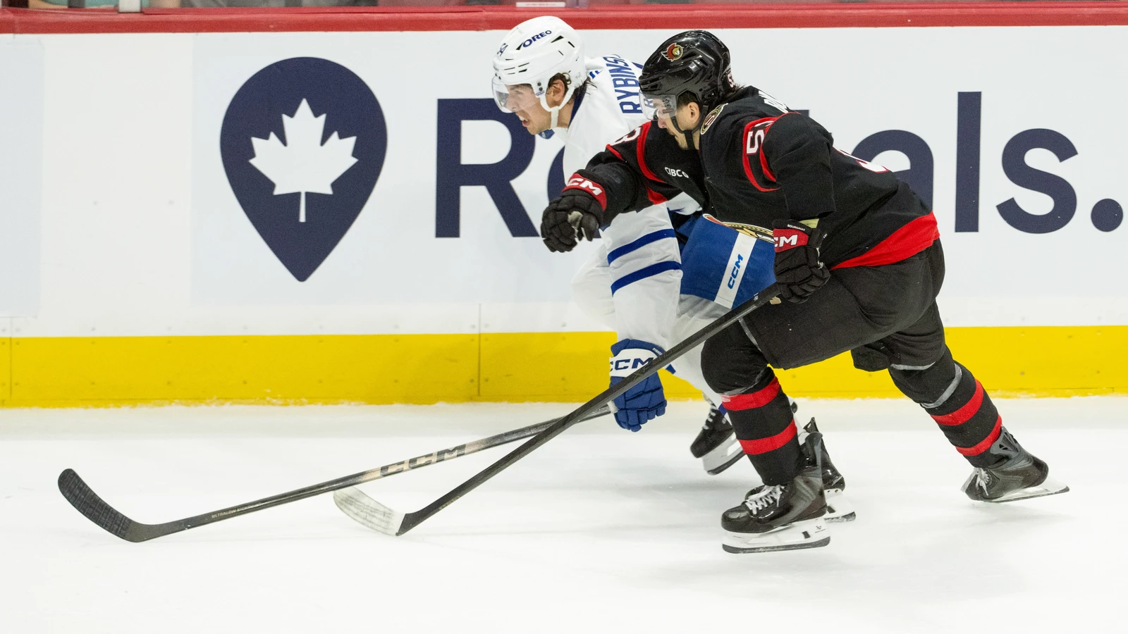 File photo: Ottawa Senators forward Xavier Bourgault chases the puck alongside a Toronto Maple Leafs player.