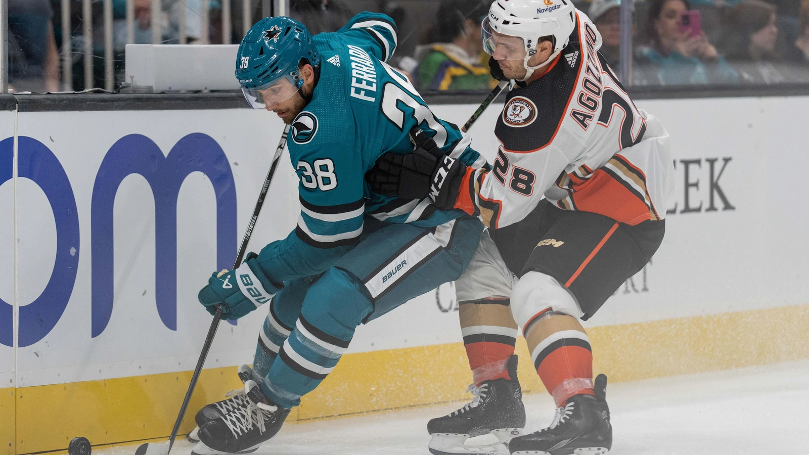 Anaheim Ducks center Andrew Agozzino battles San Jose Sharks defenseman Mario Ferraro for the puck during a preseason game on September 26, 2023. File photo.
