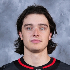 Dominik Badinka