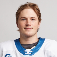 Stanislav Svozil