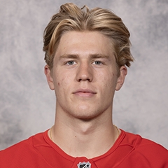 Michael Brandsegg-Nygård