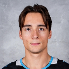 Maxim Barbashev