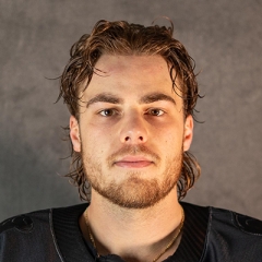Tag Bertuzzi