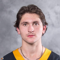 Tanner Howe