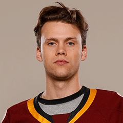 Dominik Bokk