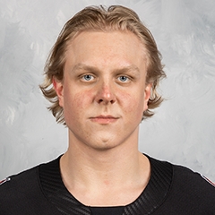 Fabian Zetterlund