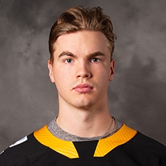 Niclas Almari