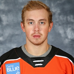 Mikhail Vorobyev