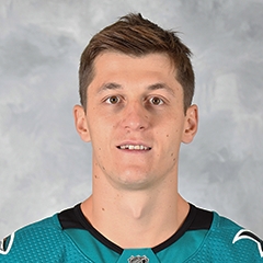 Lukas Radil
