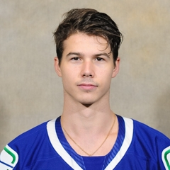 Nikolay Goldobin