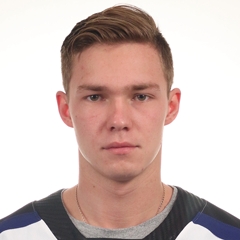 Vladislav Kamenev