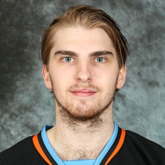 Julius Nattinen