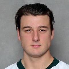 Raphael Bussieres