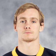 Alexander  Fallstrom