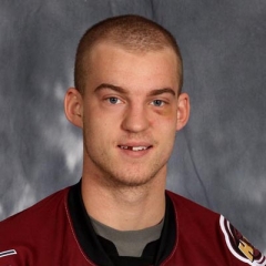 Anton Gustafsson