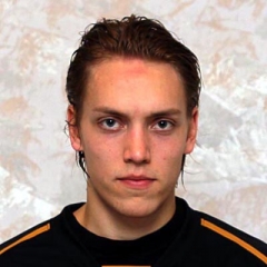 Perttu Lindgren