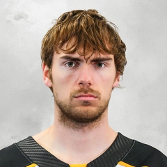 Georgii Merkulov